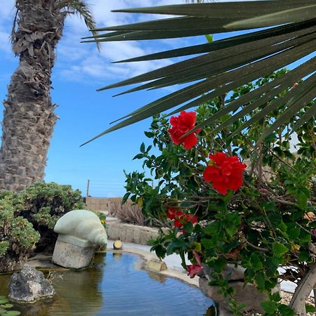 Little Paradise In El Medano 2 غراناديا دي أبونا المظهر الخارجي الصورة