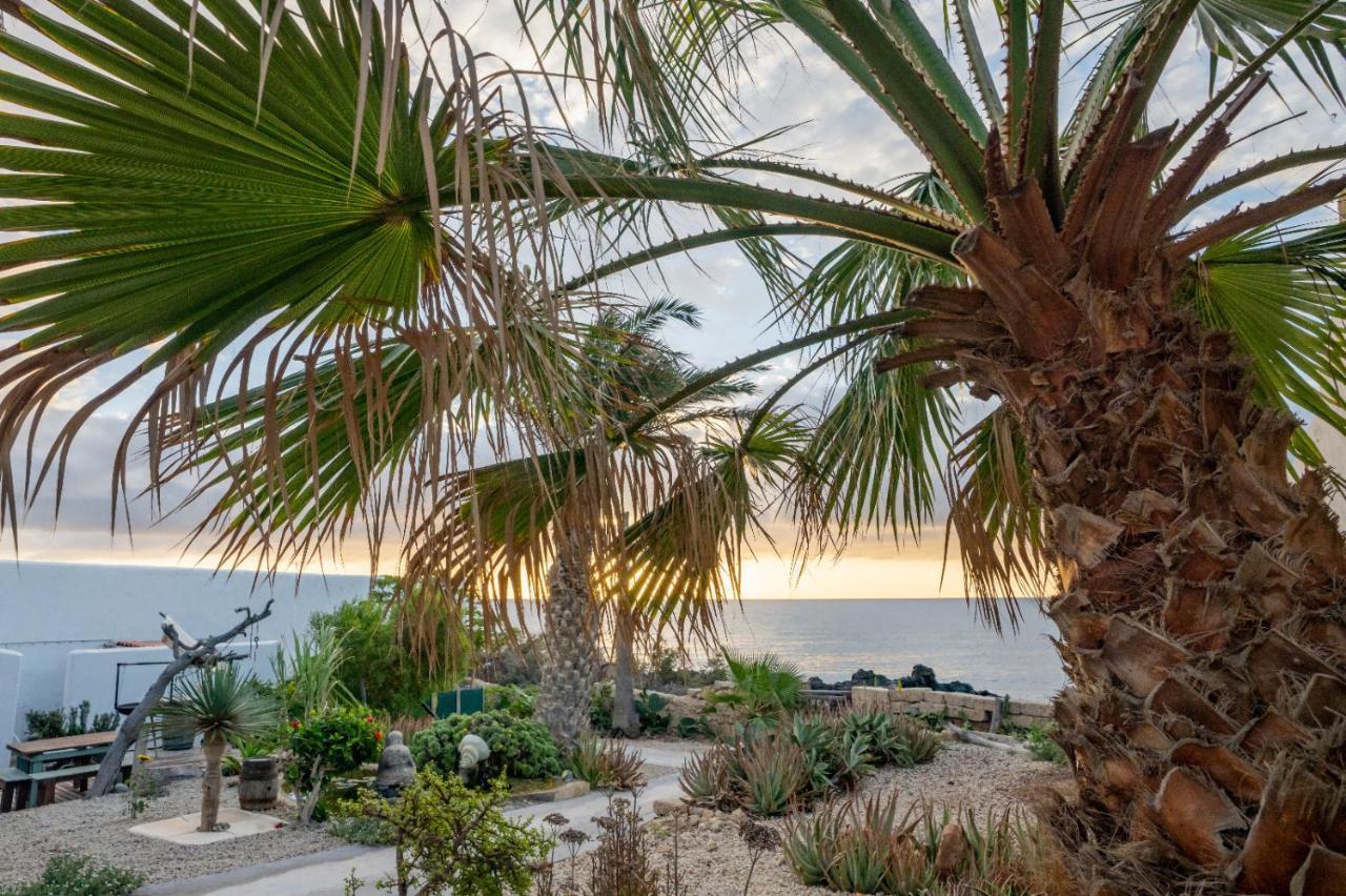 Little Paradise In El Medano 2 غراناديا دي أبونا المظهر الخارجي الصورة