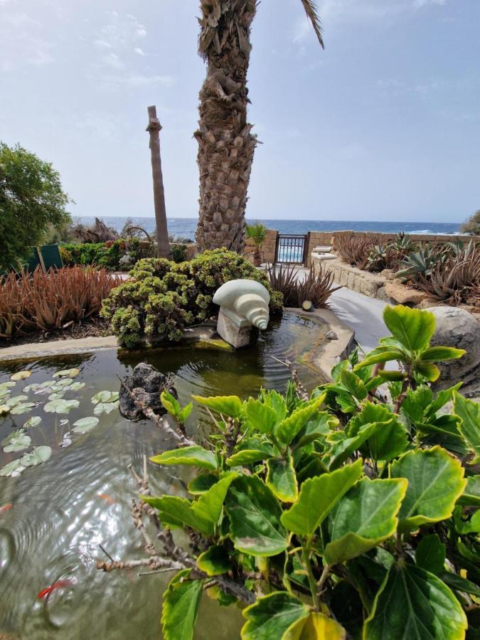 Little Paradise In El Medano 2 غراناديا دي أبونا المظهر الخارجي الصورة