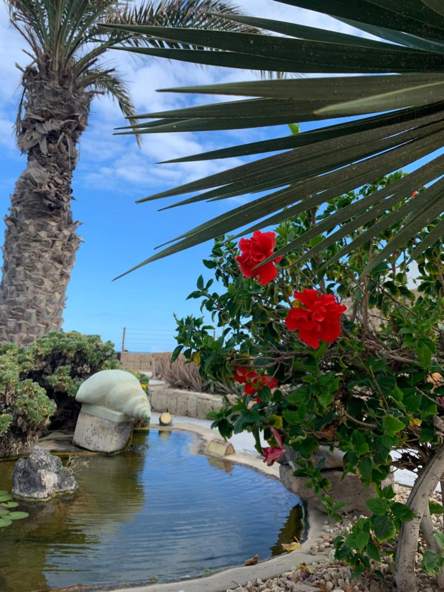 Little Paradise In El Medano 2 غراناديا دي أبونا المظهر الخارجي الصورة